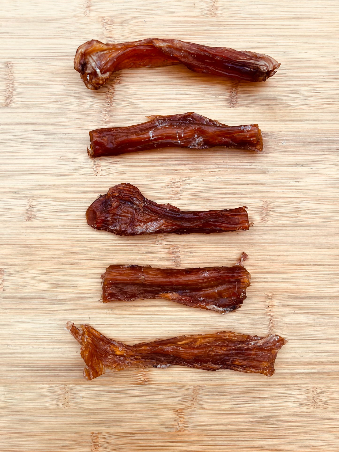 عصب ظهر الجمل