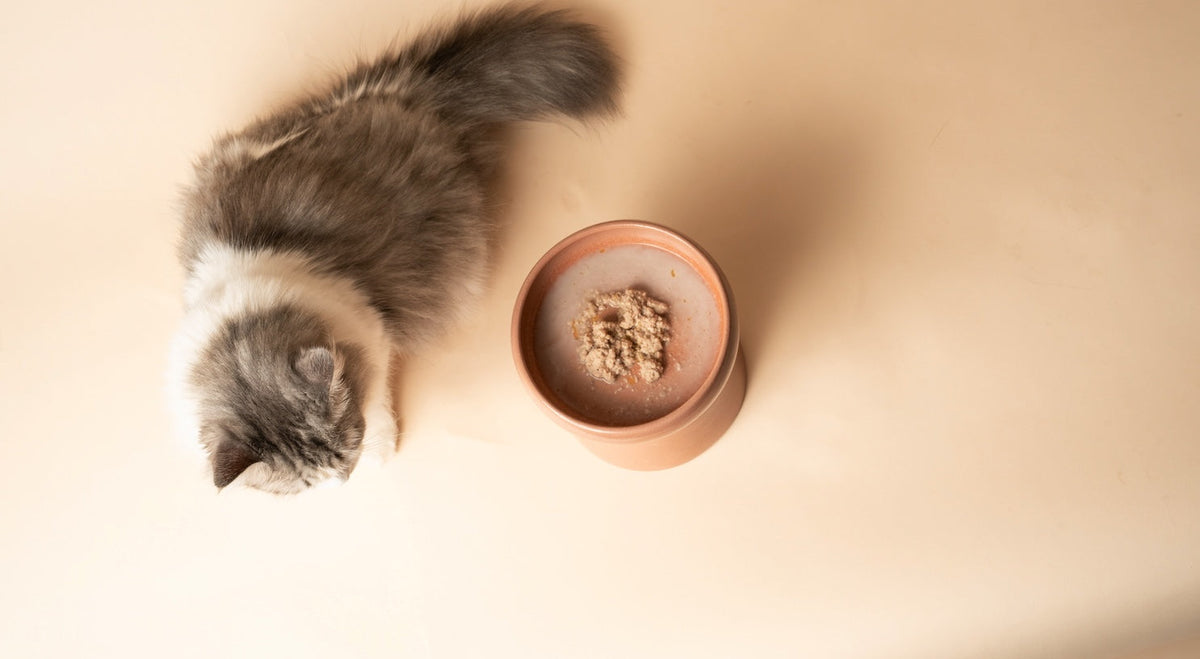 Gently-Cooked Food for Cats