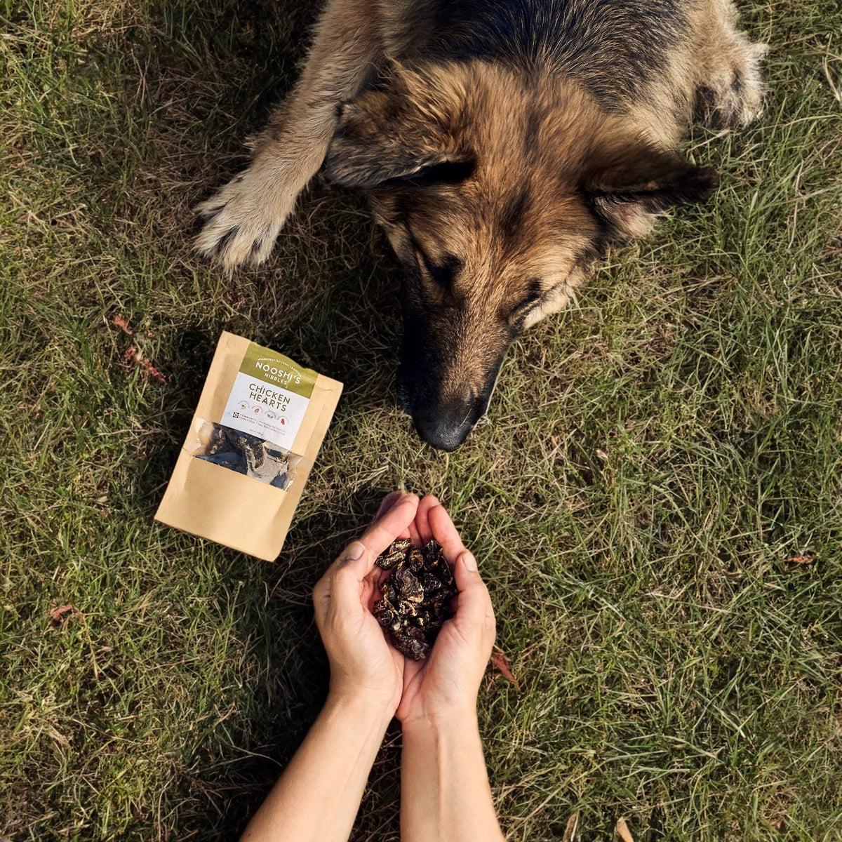 Treats