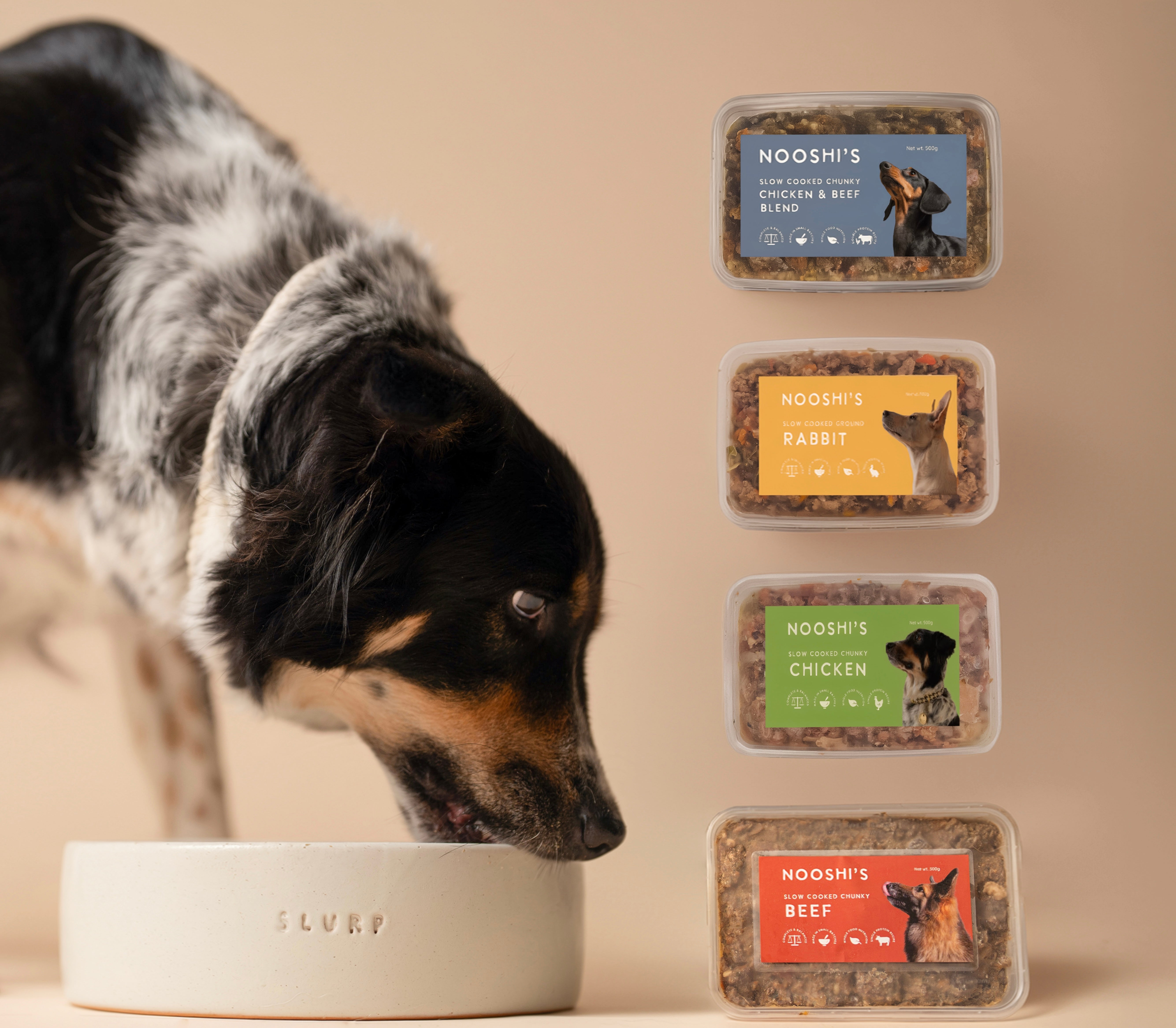 Dogs Trial Pack
