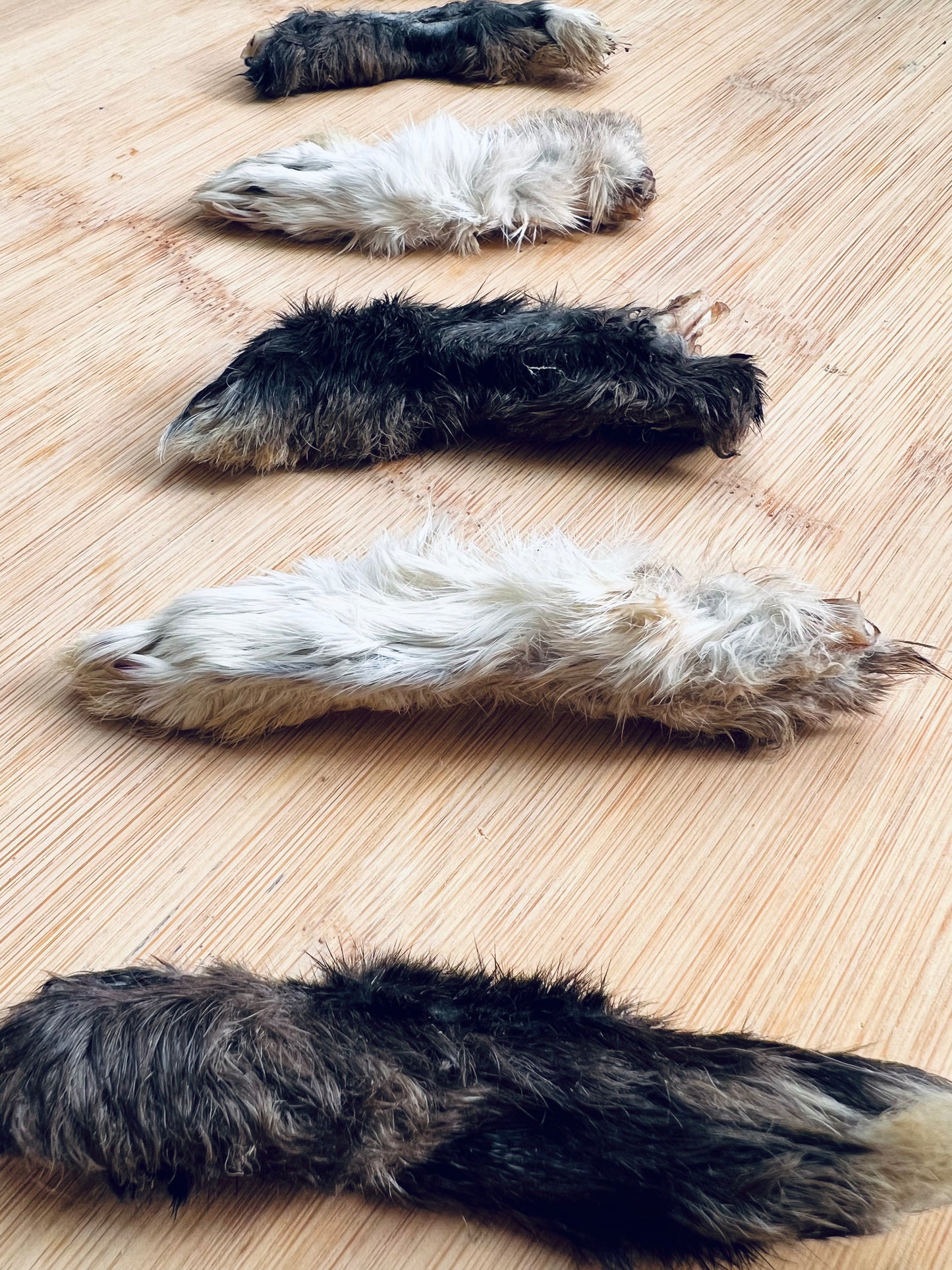 Rabbit Feet