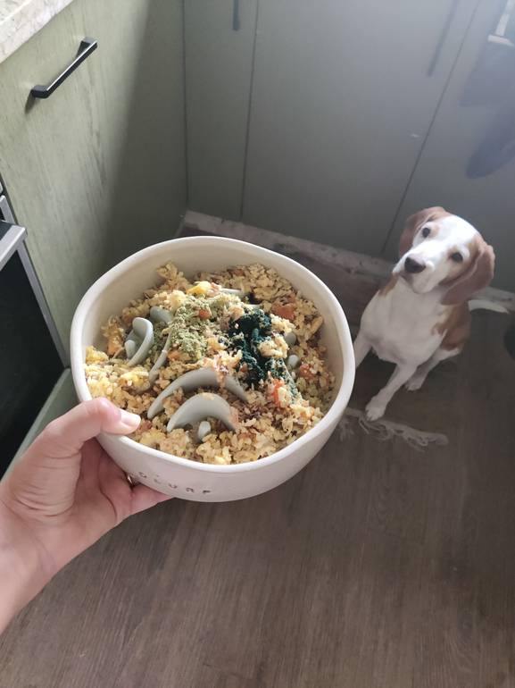 GetPetStuff Slow-Feeder Insert